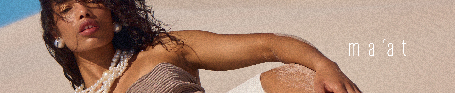 banner busca