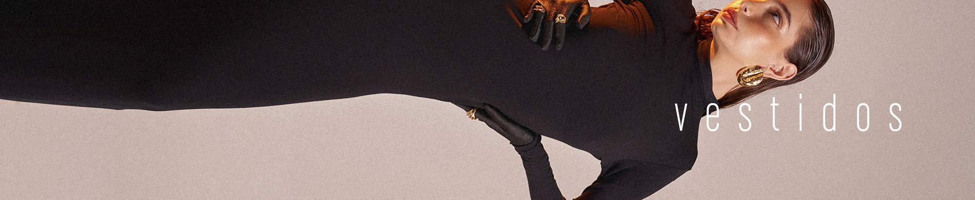 banner busca